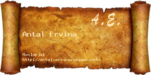 Antal Ervina névjegykártya